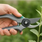 Left-handed gardener using specially designed pruning shears in a backyard garden